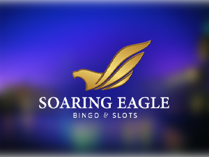 soaring eagle casino bingo